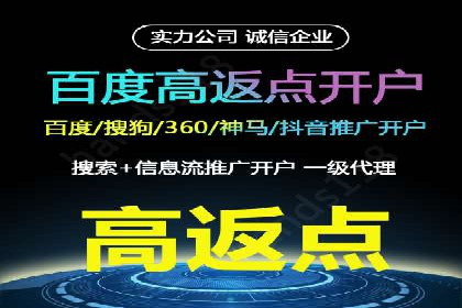 深度解析：竞价推广公司经典案例